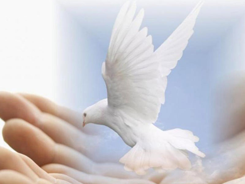 PEACE & COUNTER TERRORISM